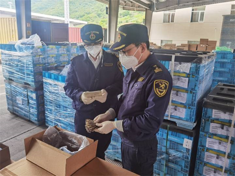Содействие внешней торговле для обеспечения стабильности и повышения качества Таможня Нинбо выпустила 20 «основных» мер